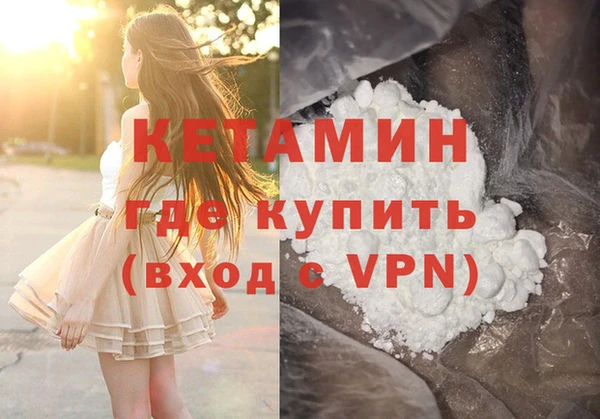 сатива Беломорск