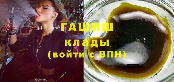 сатива Беломорск