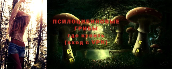 сатива Беломорск
