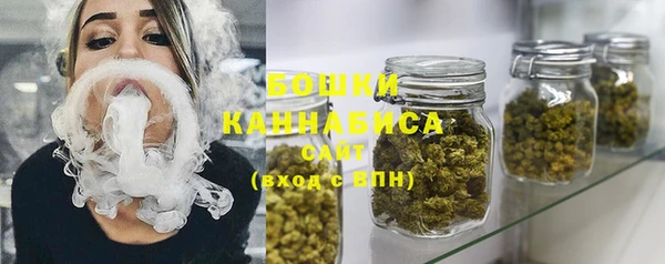 сатива Беломорск