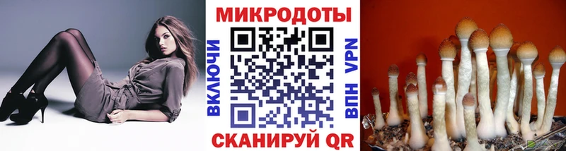 Псилоцибиновые грибы GOLDEN TEACHER  сколько стоит  Югорск 