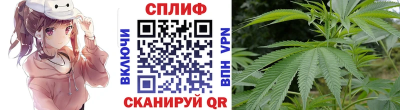 как найти закладки  Югорск  Бошки марихуана VHQ 